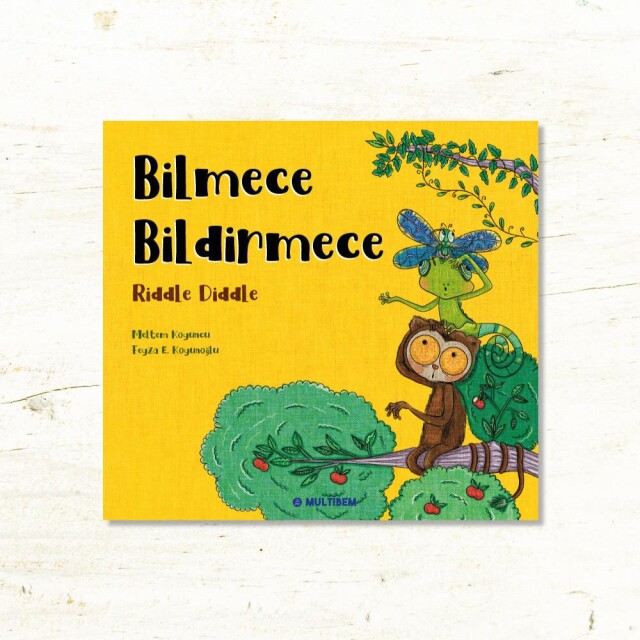 BİLMECE BİLDİRMECE - 1