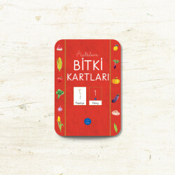 BİTKİ FLAŞ KARTLARI - 