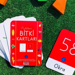 BİTKİ FLAŞ KARTLARI - 2