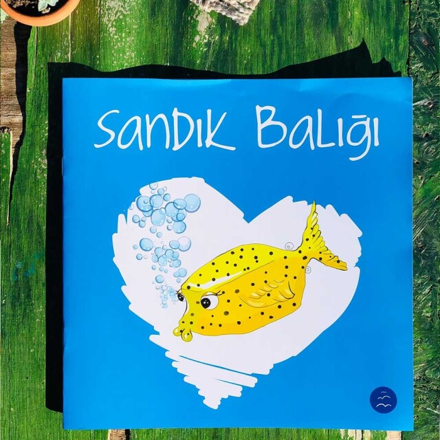 SANDIK BALIĞI - 2