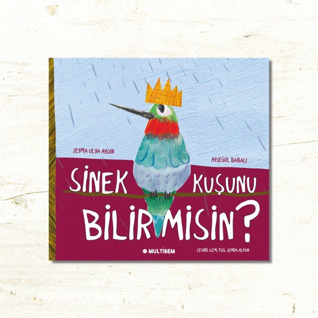 SİNEK KUŞUNU BİLİR MİSİN? (TÜRKÇE) - 1